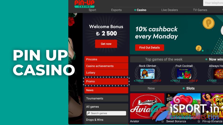 casino online pin up game